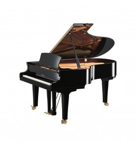 S5x de la marque Yamaha Premium